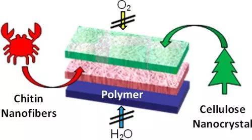 蟹殼和樹(shù)纖維膜
